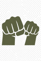 Fight — Pillar 2 — Combatives